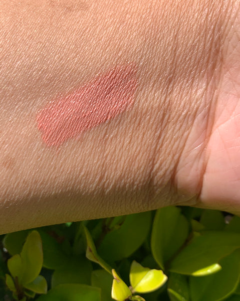 309 Shrimp Lipstick