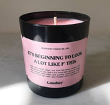 IT'S BEGINNING TO LOOK A LOT LIKE F' THIS Candle- 9oz